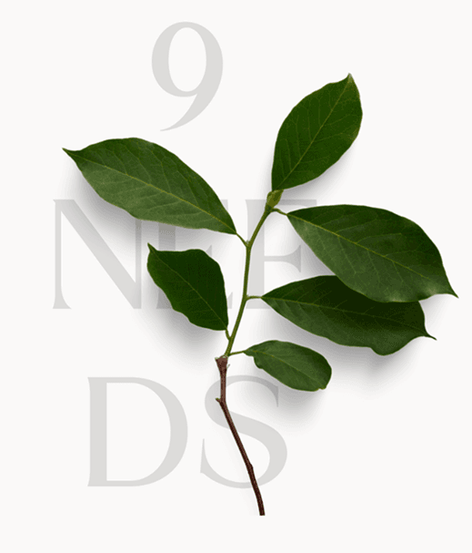 Nine Needs plant logo
