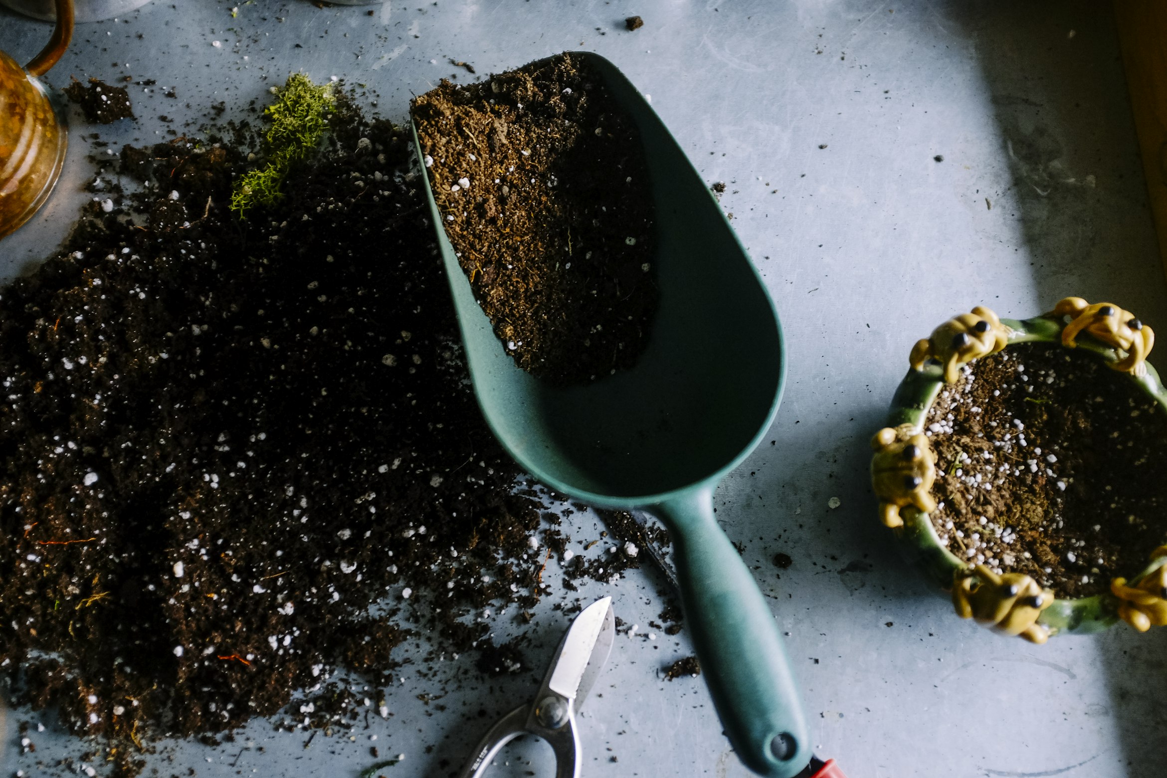 Community garden and sustainable food practices
